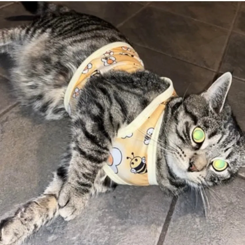 Baby Bee Pet Dog Cat T-Shirts
