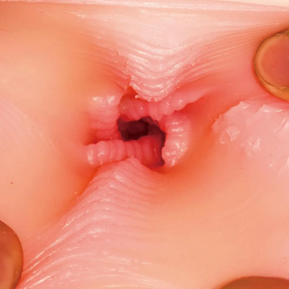 Boost - Otome Hime Perfect Body Double Hole Masturbator Onahole (Beige)