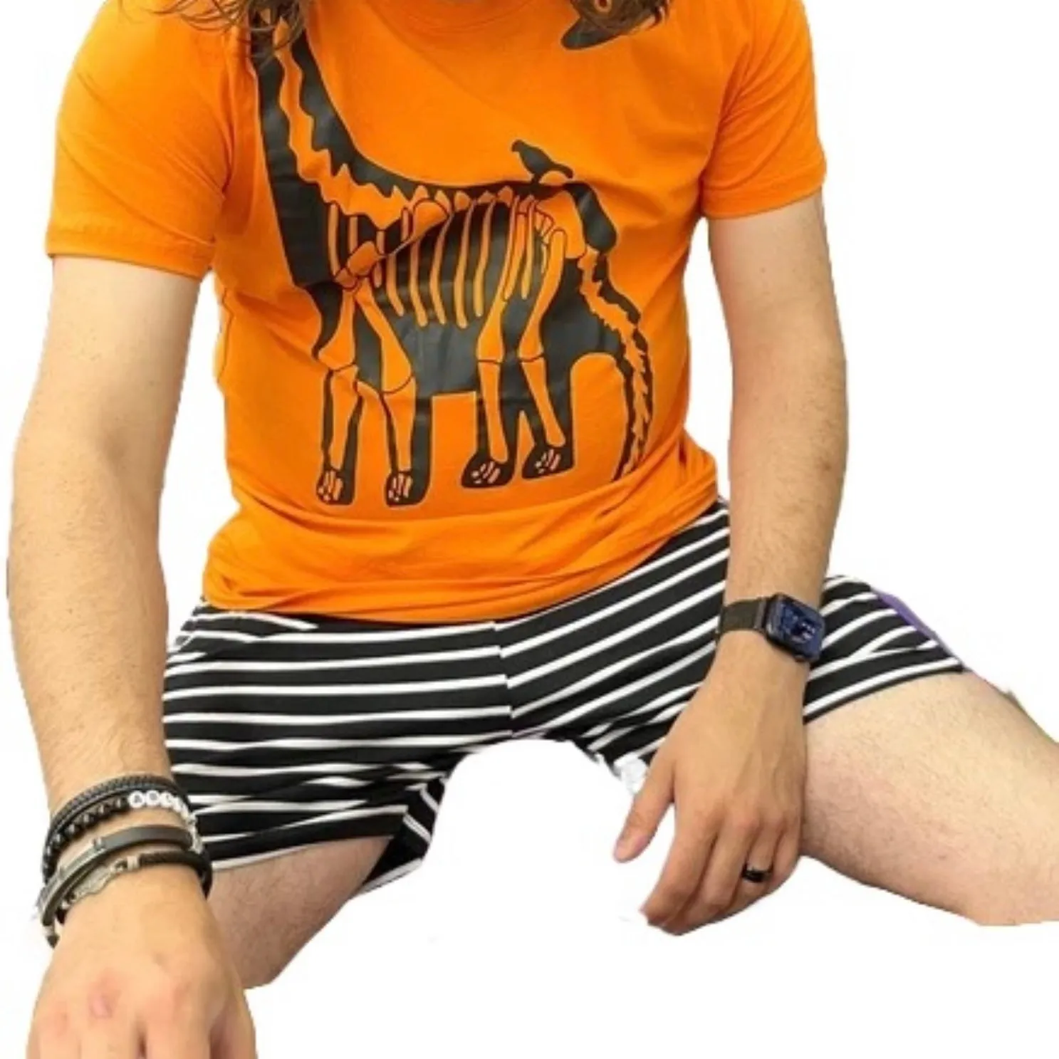 Dinosaur Shirt