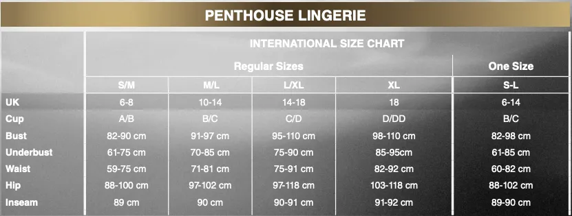 Penthouse - Turned On Cupless Playsuit Costume