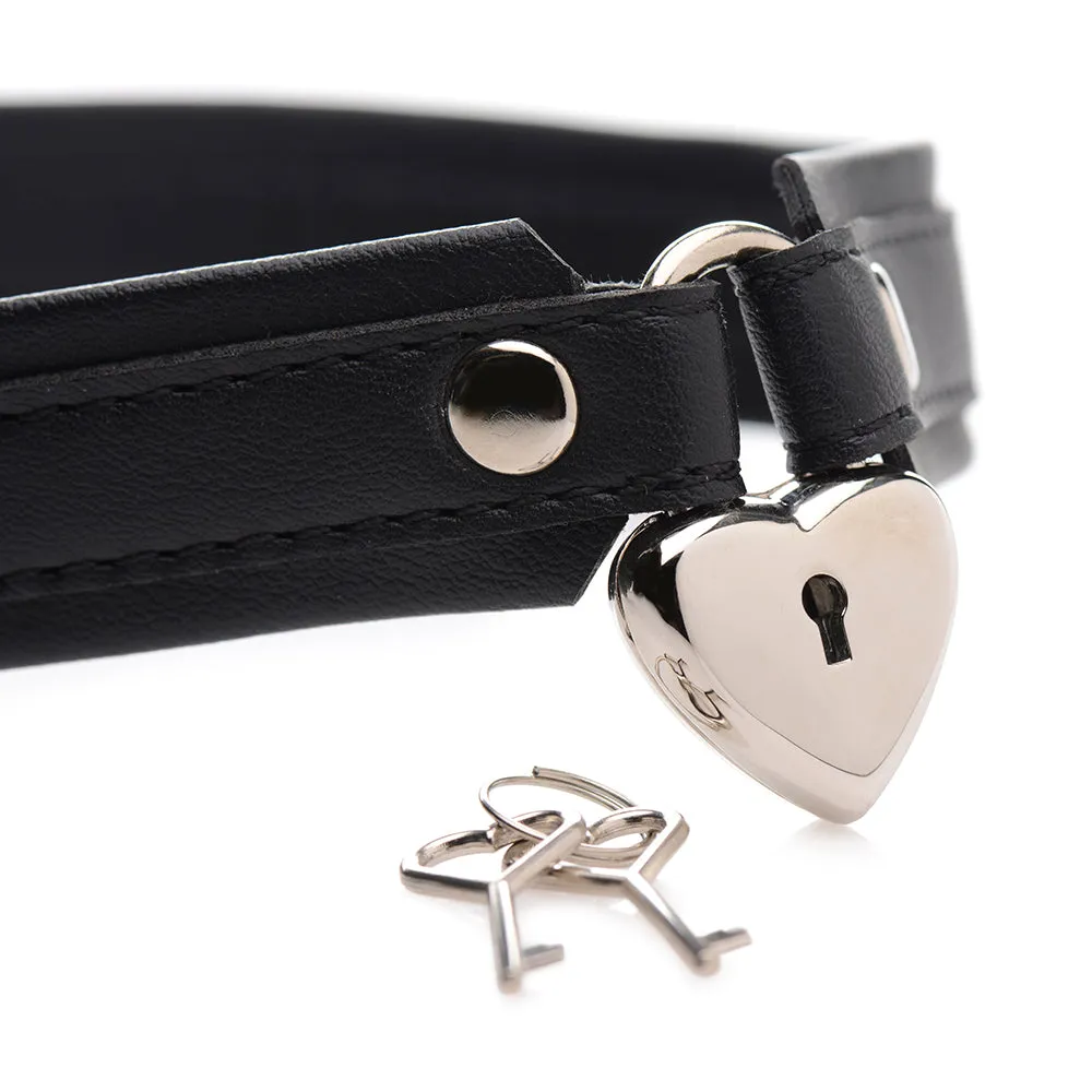 STRICT Locking Heart Collar