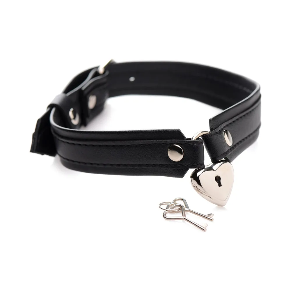 STRICT Locking Heart Collar
